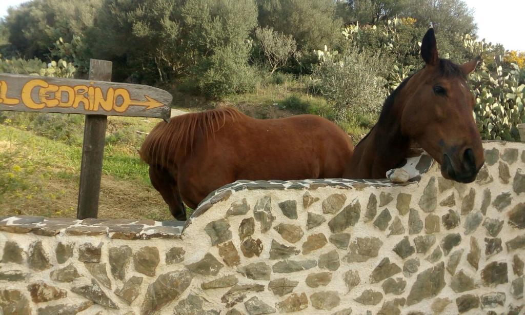 Hotel Valle Del Cedrino Galtellì 외부 사진